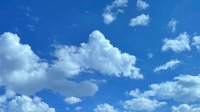 بلوسكايBluesky - صورة رئيسية توضيحية